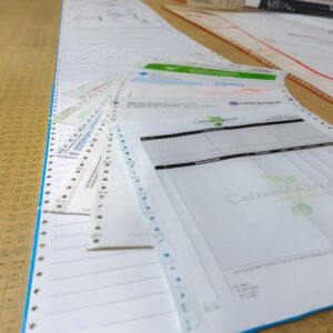 Pre-Printed Computer Forms / Continuous Carbonless Forms / Continuous Carbonless Forms Manufacturer